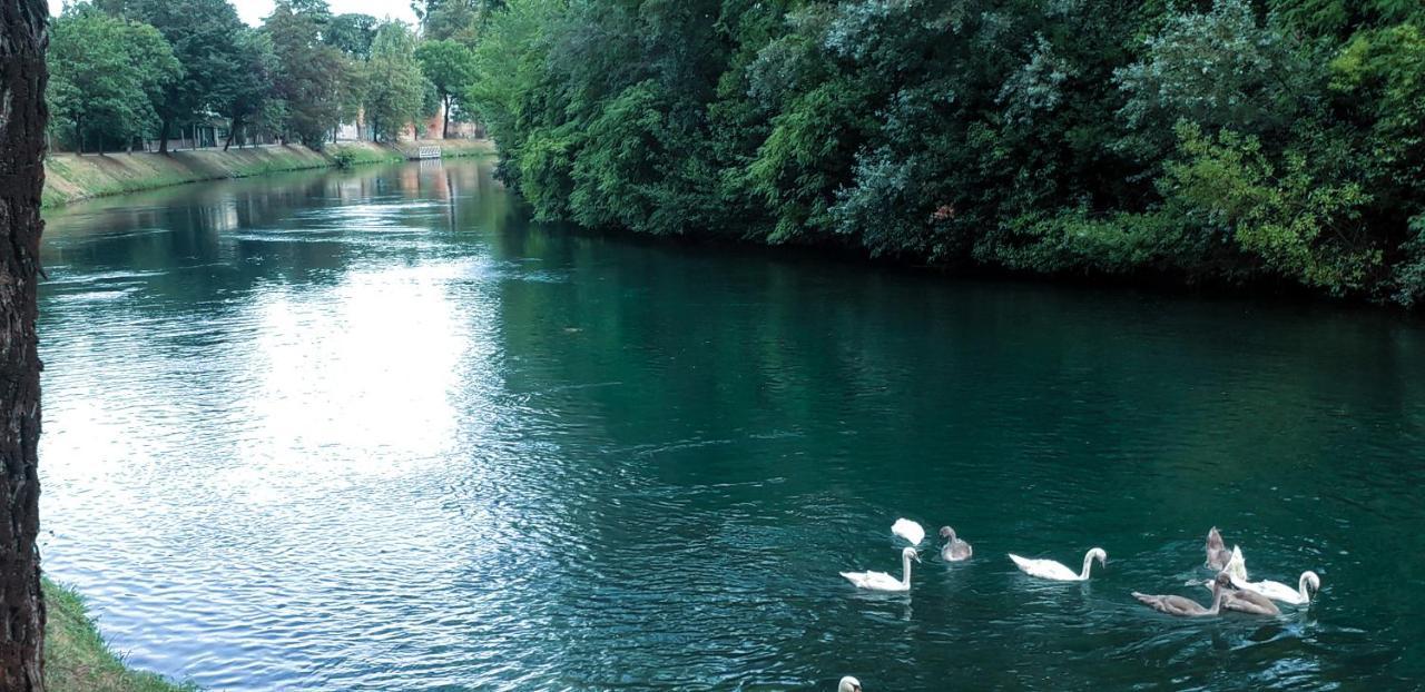 Ampio Appartamento Vicino Al Centro Di Treviso, Parcheggio Gratuito Ngoại thất bức ảnh